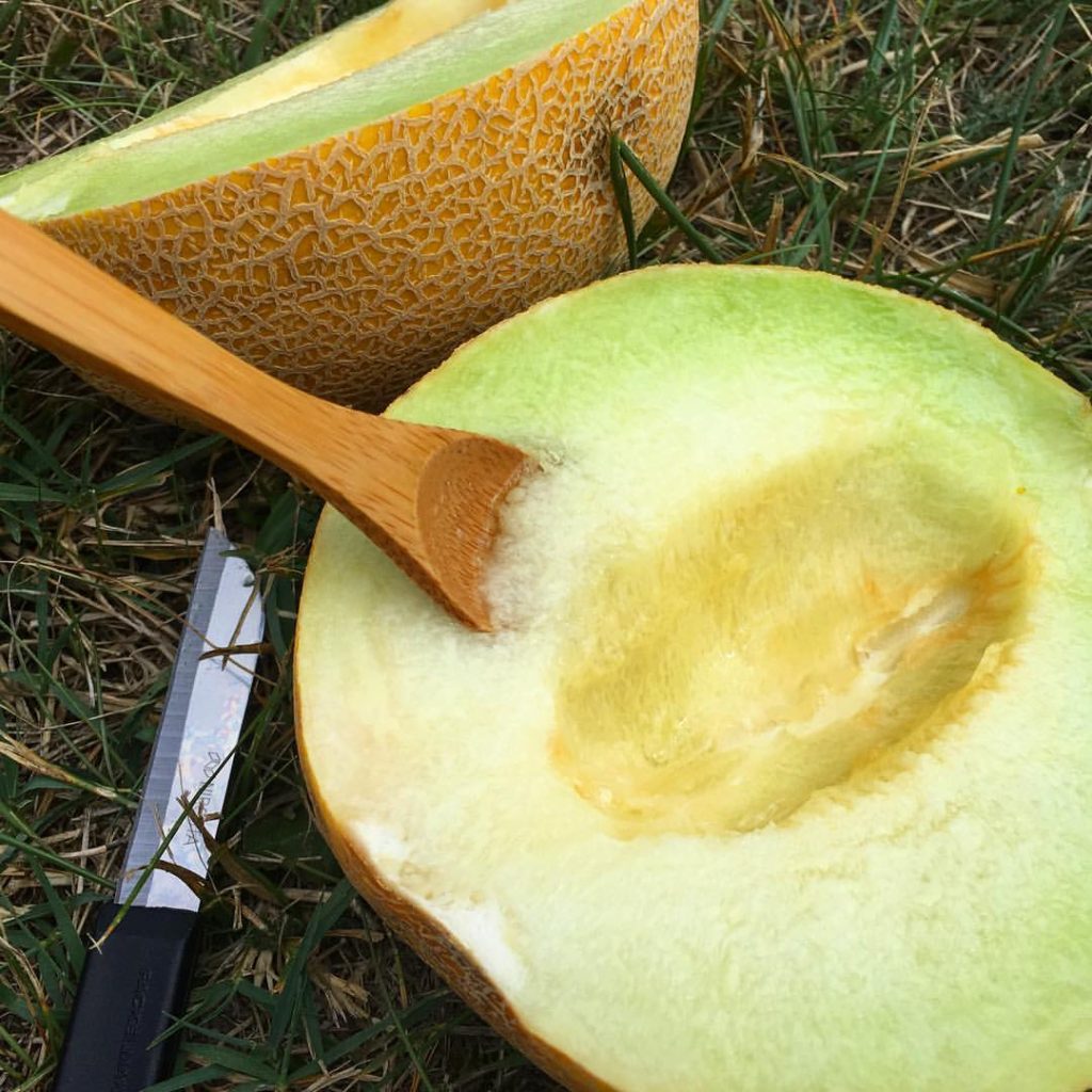 Raw food on vacation