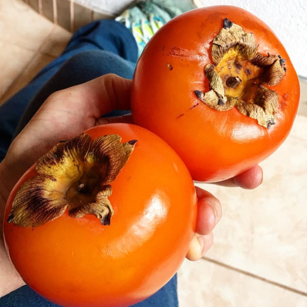 Raw food on vacation